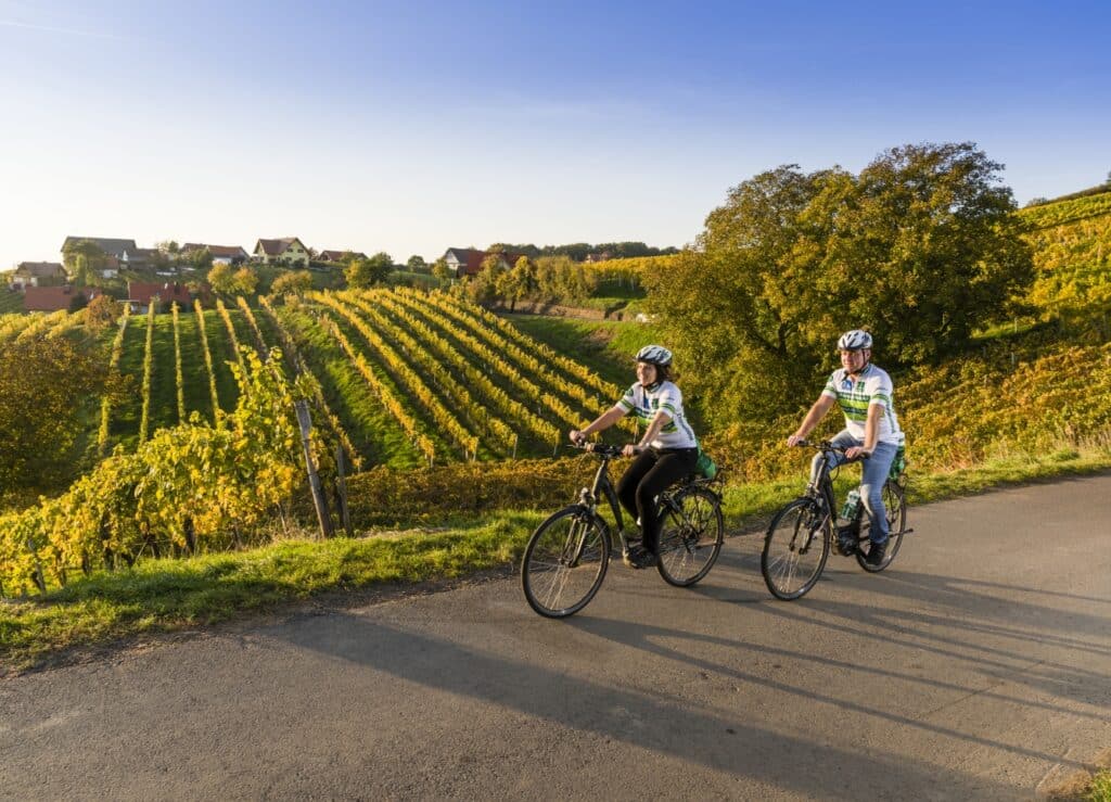 Weinregion im Thermen- und Vulkanland
