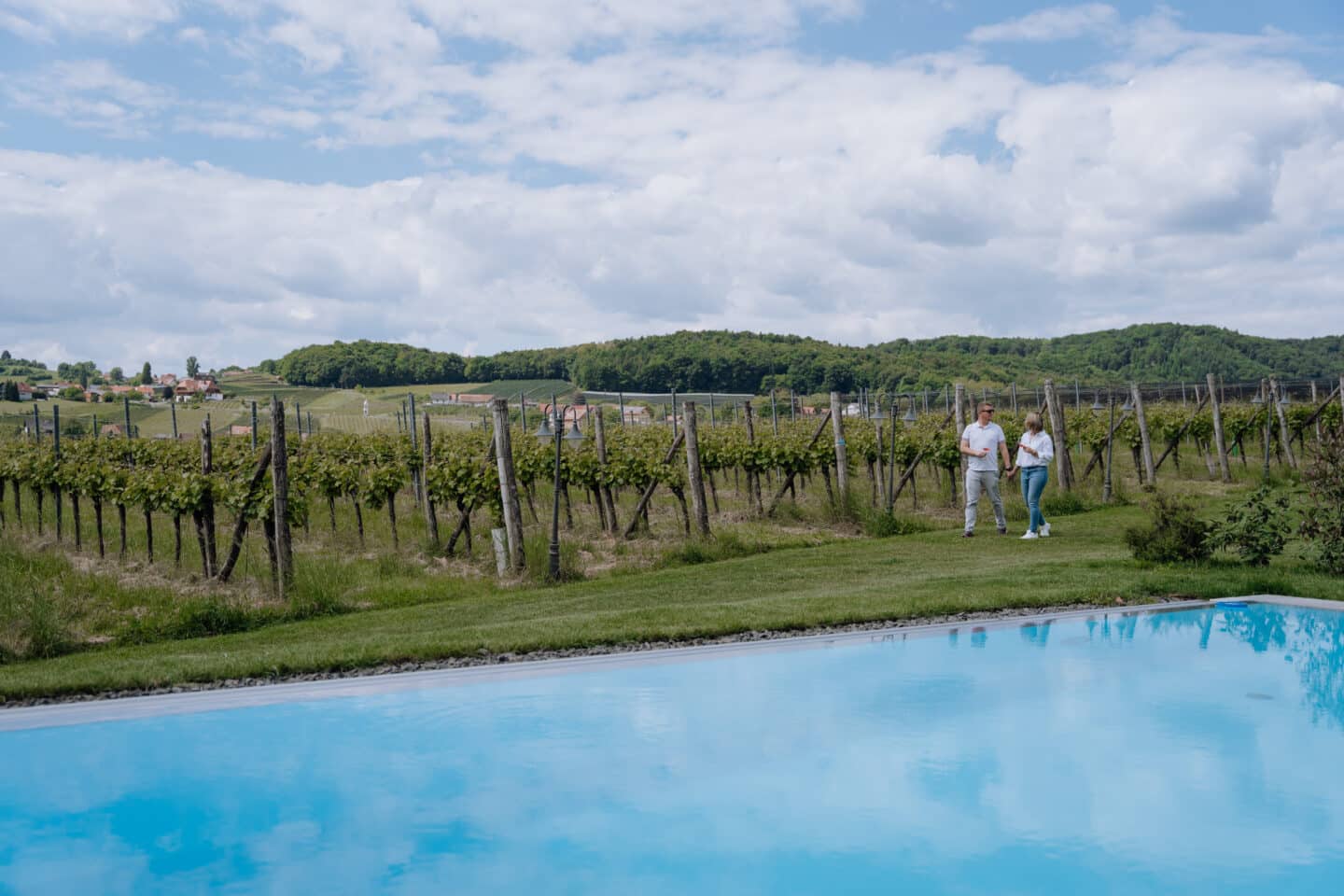 Weingarten am Winzerhof