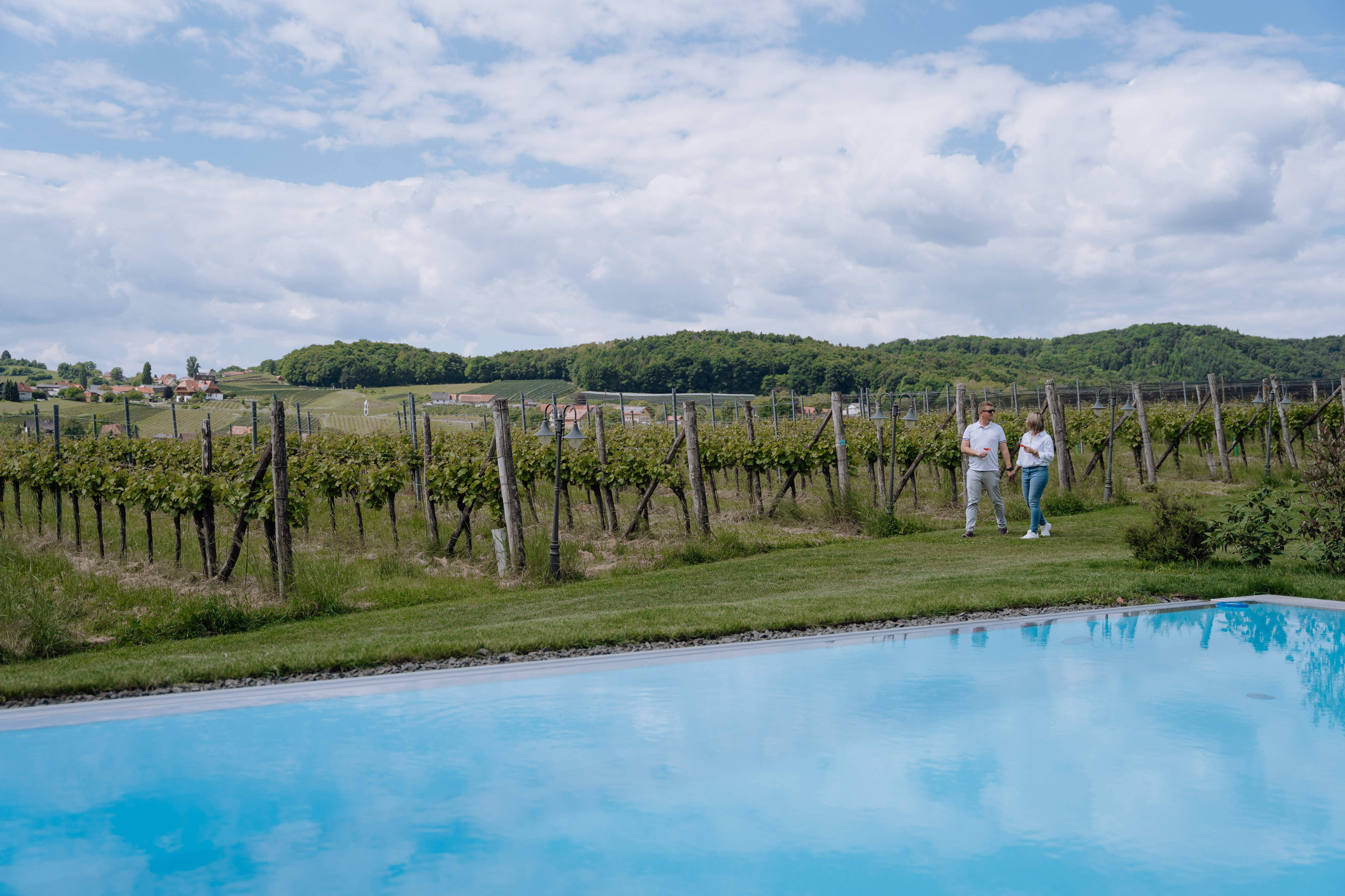 Weingarten am Winzerhof